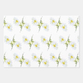 Witte Daisy Baby shower Pastel groene tuin Inpakpapier Vel (Voorkant)
