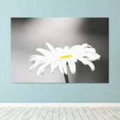 Witte Daisy Bloem Bloom Canvas Afdruk (Insitu (Houten vloer))