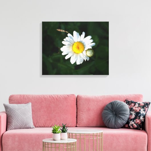 Witte Daisy Bloem Foto Verpakt canvas (Insitu (Woonkamer))