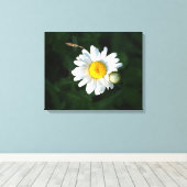 Witte Daisy Bloem Foto Verpakt canvas Afdruk (Insitu (Houten vloer))