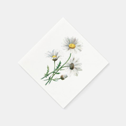  Witte Daisy Bloem Illustratie Bloemen Servetten (Hoek)