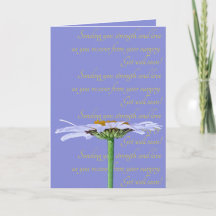 Witte Daisy Bloem Lavendel Blauw Geel Get Well