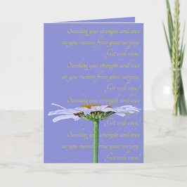 Witte Daisy Bloem Lavendel Blauw Geel Get Well Kaart