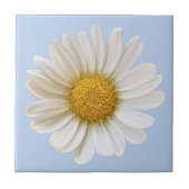 Witte Daisy Bloem op Lichtblauwe Achtergrond Tegeltje (Voorkant)