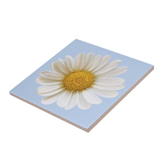 Witte Daisy Bloem op Lichtblauwe Achtergrond Tegeltje (Zijkant)