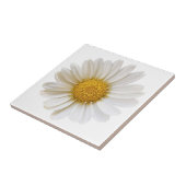 Witte Daisy Bloem op Witte Achtergrond Tegeltje (Zijkant)