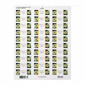 witte daisy bloemen adreslabel etiket (Full Sheet)