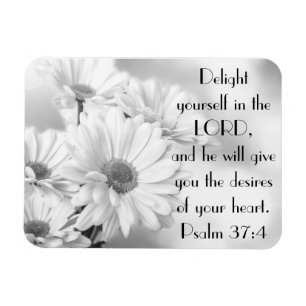 Witte daisy bloemen, bijbel, Psalm 37:4 Magnet Magneet