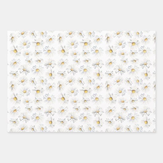 Witte Daisy Bloemen Boho Elegante Wildbloemen Cade Inpakpapier Vel (Voorkant 3)