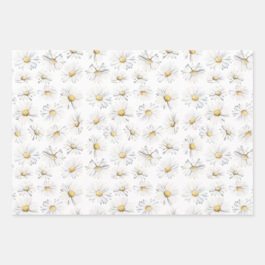 Witte Daisy Bloemen Boho Elegante Wildbloemen Cade Inpakpapier Vel (Voorkant 2)