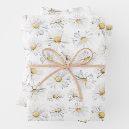 Witte Daisy Bloemen Boho Elegante Wildbloemen Cade Inpakpapier Vel (In situ)