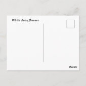Witte Daisy bloemen Briefkaart (Achterkant)