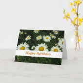 witte daisy bloemen gefeliciteerd kaart (Gele Bloem)