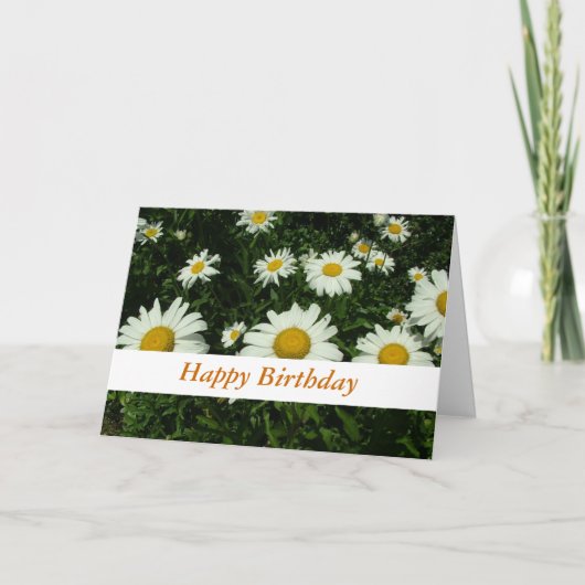 witte daisy bloemen gefeliciteerd kaart (Voorkant)
