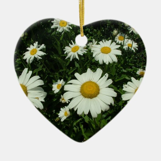 witte daisy bloemen gefeliciteerd keramisch ornament (Voorkant)