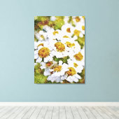 Witte Daisy Bloemen - Verpakte Kunst Canvas Afdruk (Insitu (Houten vloer))