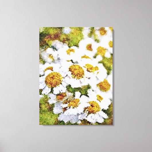 Witte Daisy Bloemen - Verpakte Kunst Canvas Afdruk (Voorkant)