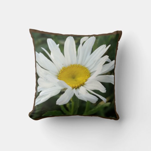 Witte daisy bruiloft gepersonaliseerd met naam kussen (Voorkant)