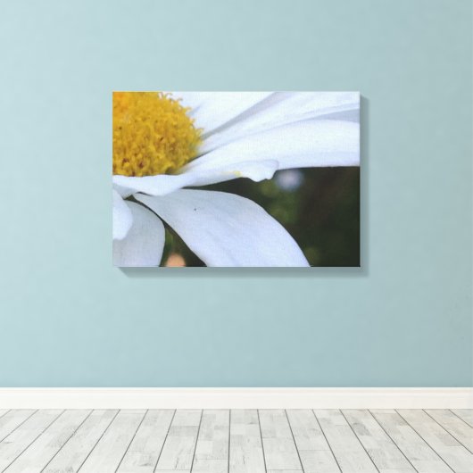 Witte Daisy Close-up Canvas Print (Insitu (Houten vloer))