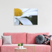 Witte Daisy Close-up Canvas Print (Insitu (Woonkamer))