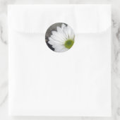 Witte Daisy Daisies Bloemen Foto Ronde Sticker (Tas)