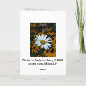 Witte Daisy en zwarte Susans Kaart (Achterkant)