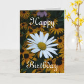 Witte Daisy en zwarte Susans Kaart (Gele Bloem)