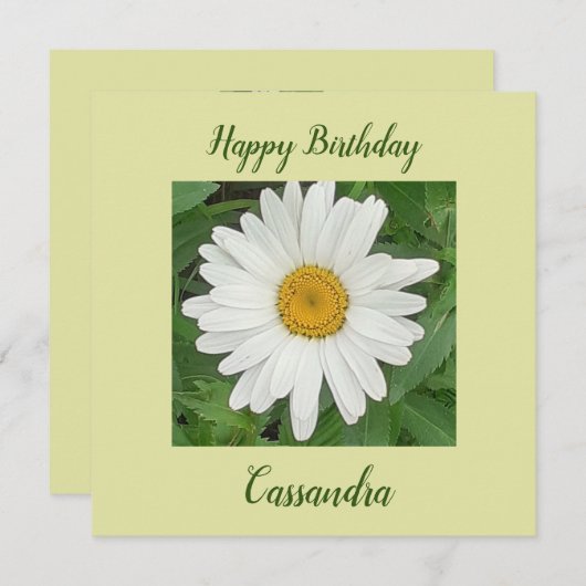 Witte Daisy Flat Verjaardag Kaart (Voorkant / Achterkant)