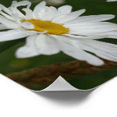 Witte Daisy Flower Abstract Poster (Hoek)