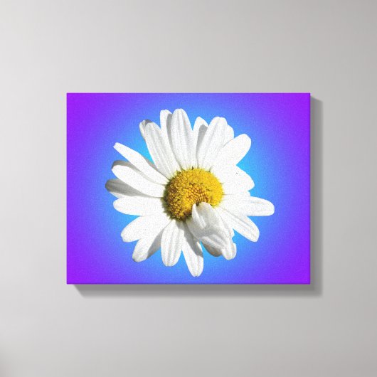 Witte Daisy Flower Floral Paarse Blauwe Gradiënt Canvas Afdruk (Voorkant)