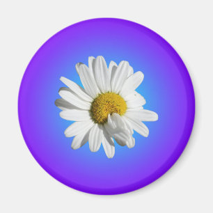 Witte Daisy Flower Floral Paarse Blauwe Gradiënt Magneet