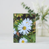 Witte Daisy Flower met een Bee Briefkaart (Staand voorkant)