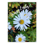 Witte Daisy Flower met een Bee Easter Kaart (Voorkant)