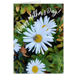 Witte Daisy Flower met een Bee Moederdag Kaart