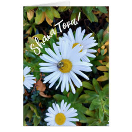 Witte Daisy Flower met een Bee Rosh Hashanah Kaart