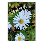 Witte Daisy Flower met een Bee Thinking of You Kaa (Voorkant)