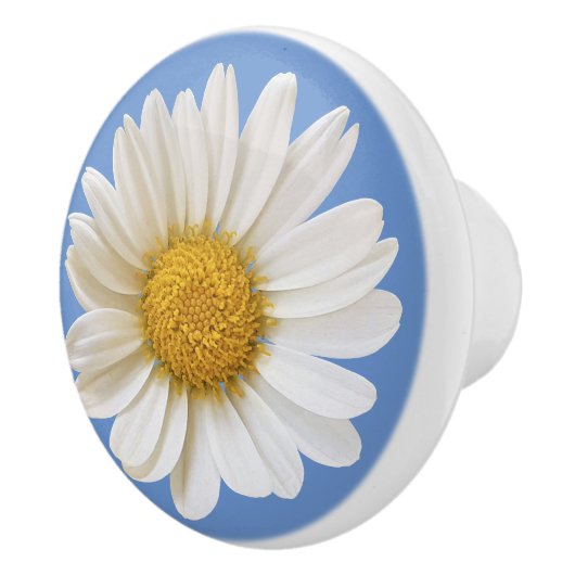 Witte Daisy Flower op blauwe achtergrond Keramische Knop (Rechts)