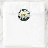 Witte Daisy Flower Raindrops Ronde Sticker (Tas)
