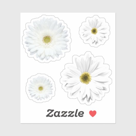 Witte Daisy Flower set Sticker (Vel)