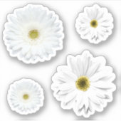 Witte Daisy Flower set Sticker (Voorkant)