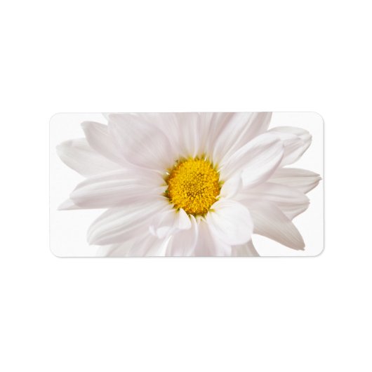 Witte Daisy Flowers Daisies Bloemen Bloemen Bloeme Etiket (Voorkant)