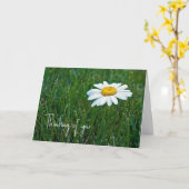Witte Daisy In Grass Denken Van U Kaart (Gele Bloem)