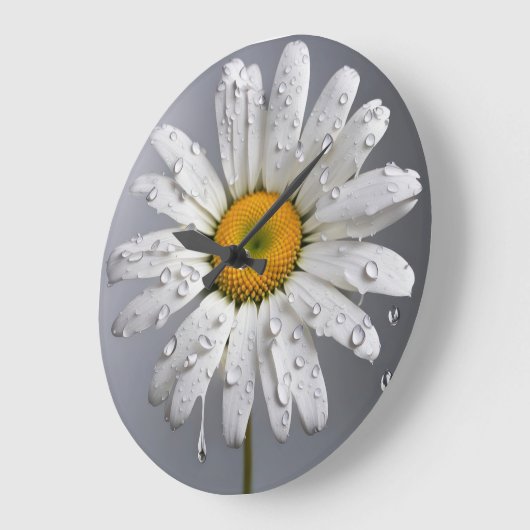 Witte Daisy met regendruppels Grote Klok (Hoek)