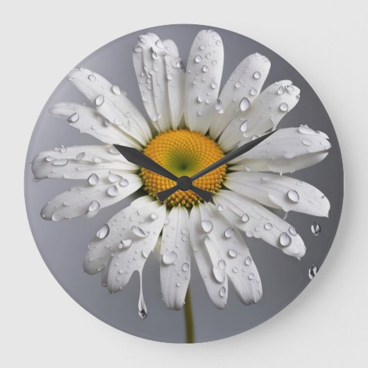 Witte Daisy met regendruppels Grote Klok (Voorkant)