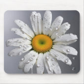 Witte Daisy met regendruppels Muismat (Voorkant)