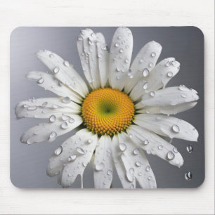Witte Daisy met regendruppels Muismat