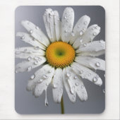 Witte Daisy met regendruppels Muismat (Voorkant)