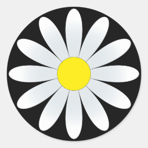 Witte Daisy op Zwarte Classic Ronde Sticker