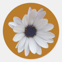 Witte Daisy Paarse Centrum Gouden Achtergrond Foto Ronde Sticker