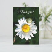 Witte Daisy-tekst Dank je wel Bedankkaart (Staand voorkant)